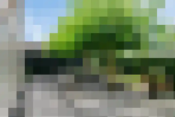 Geldropseweg 6 a Heeze thumbnail 50
