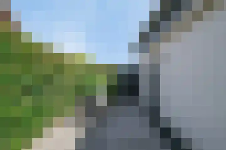 Geldropseweg 6 a Heeze thumbnail 54