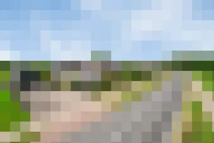 Geldropseweg 6 a Heeze thumbnail 56