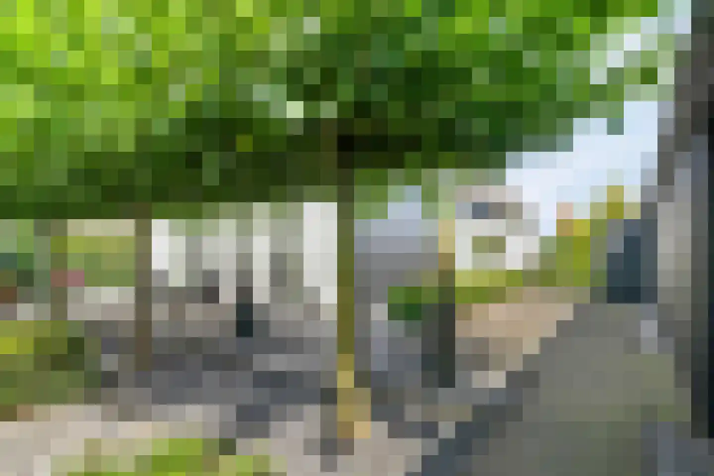 Geldropseweg 6 a Heeze thumbnail 58
