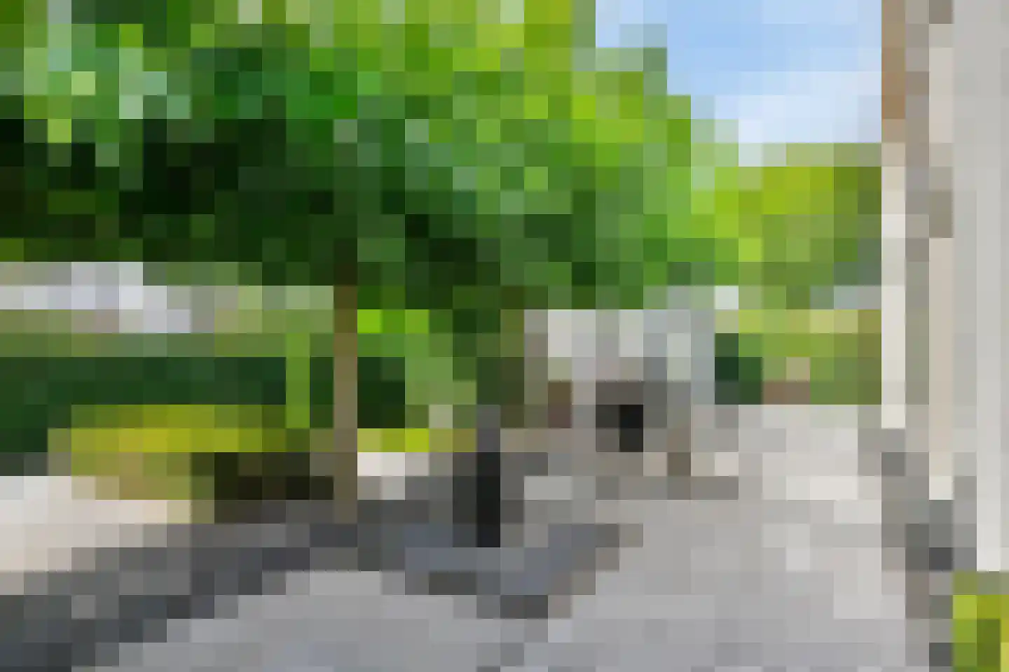 Geldropseweg 6 a Heeze thumbnail 59