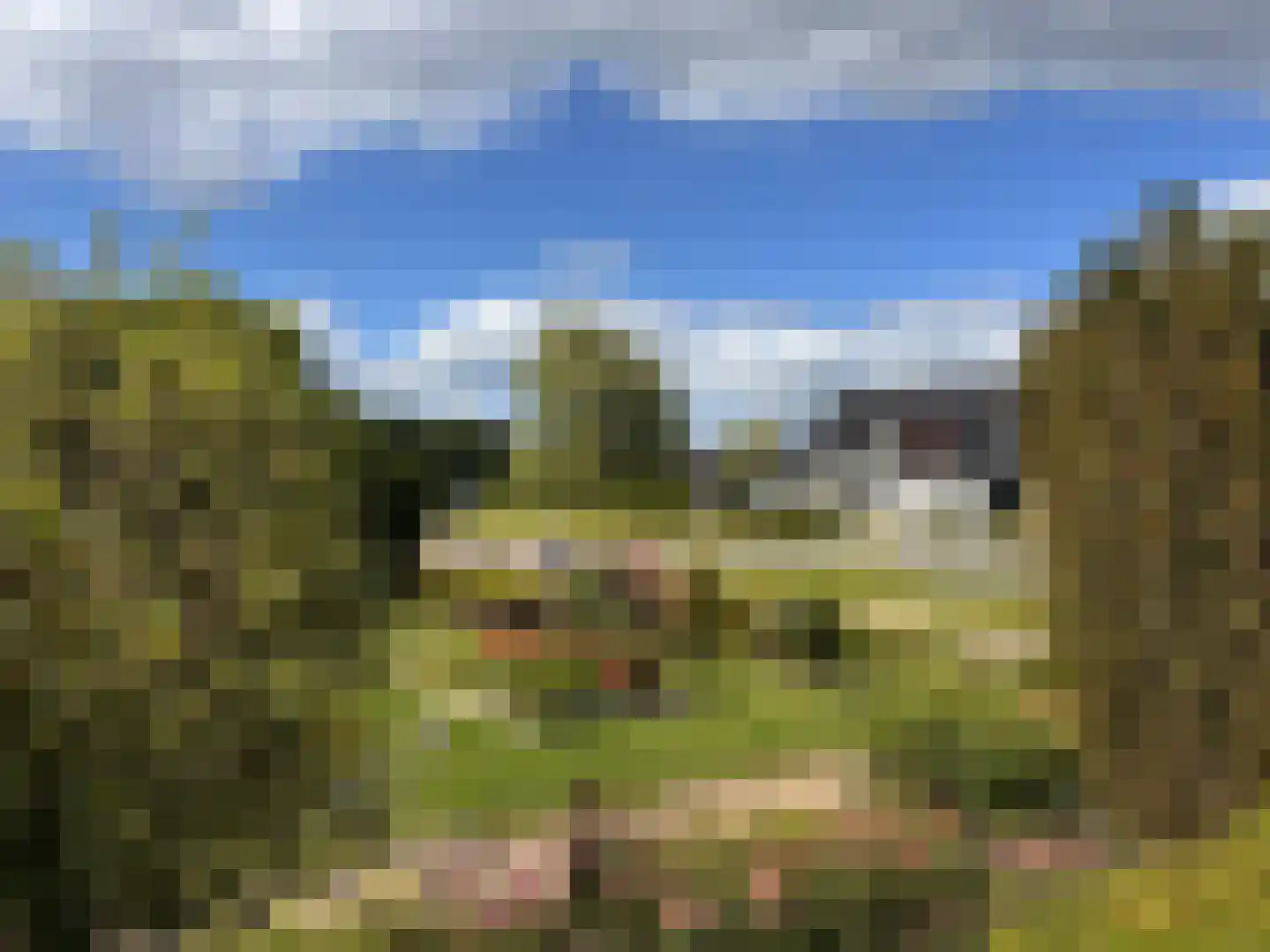 Geldropseweg 6 a Heeze thumbnail 67