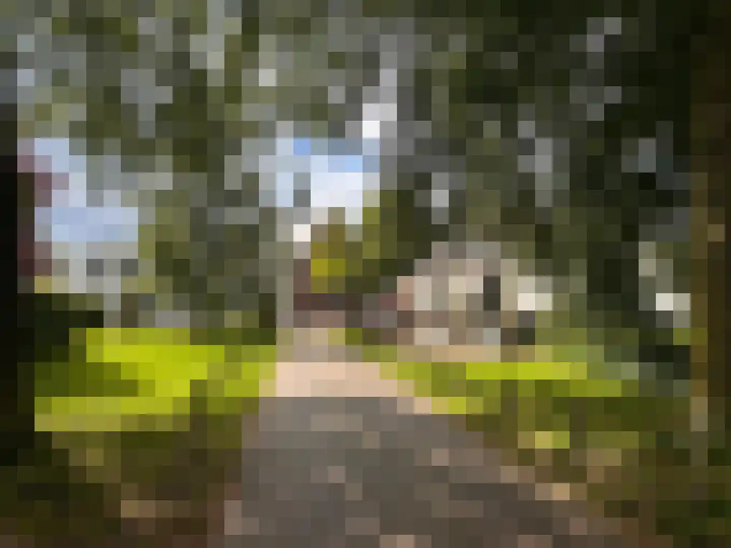 Geldropseweg 6 a Heeze thumbnail 68