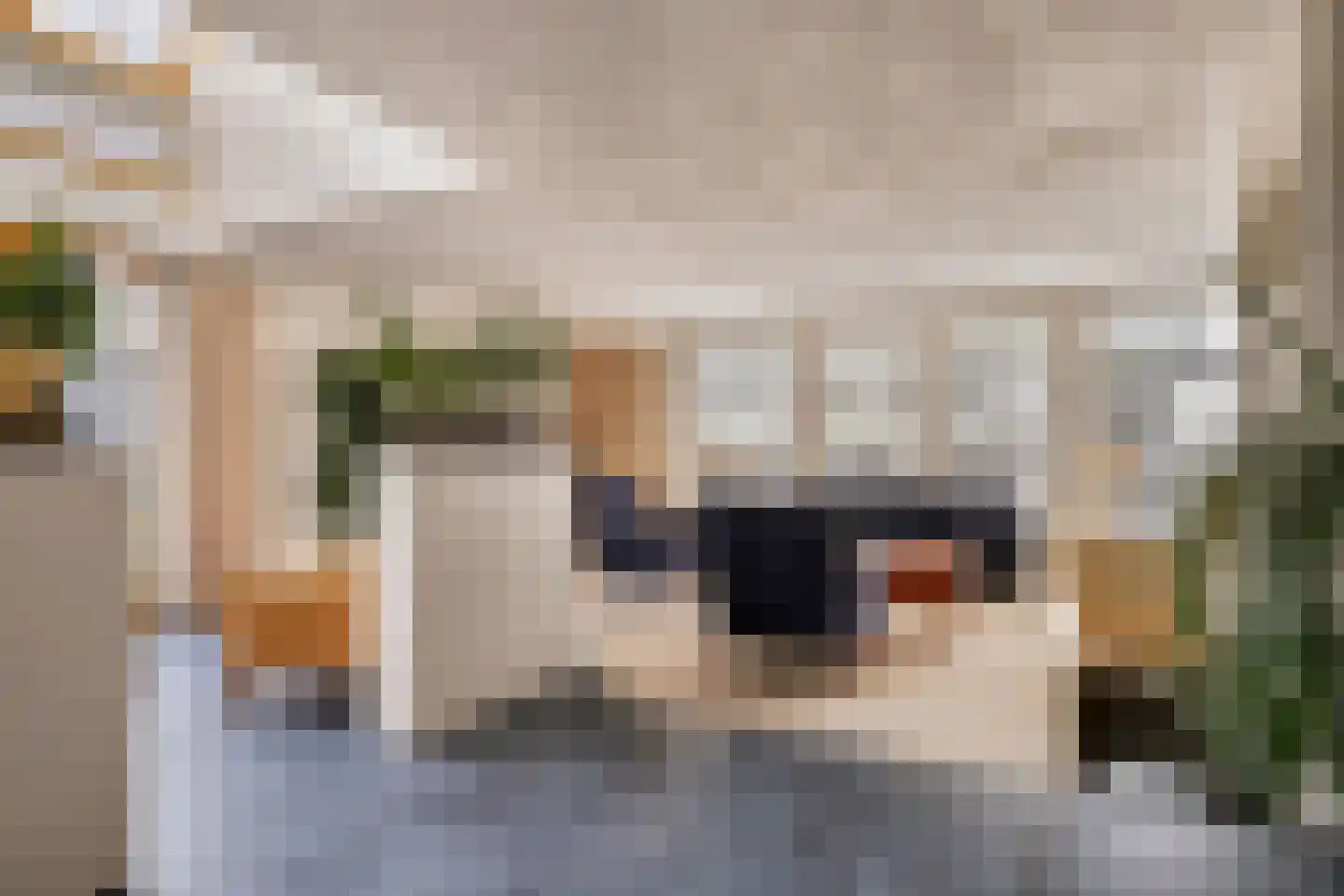 Geldropseweg 6 a Heeze thumbnail 8