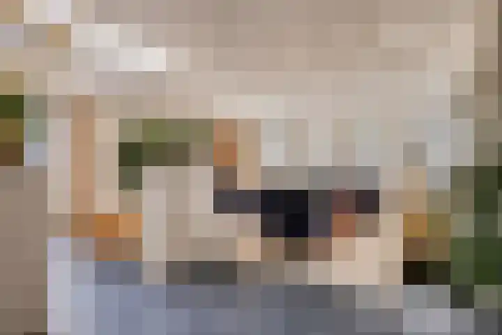 Geldropseweg 6 a Heeze thumbnail 8