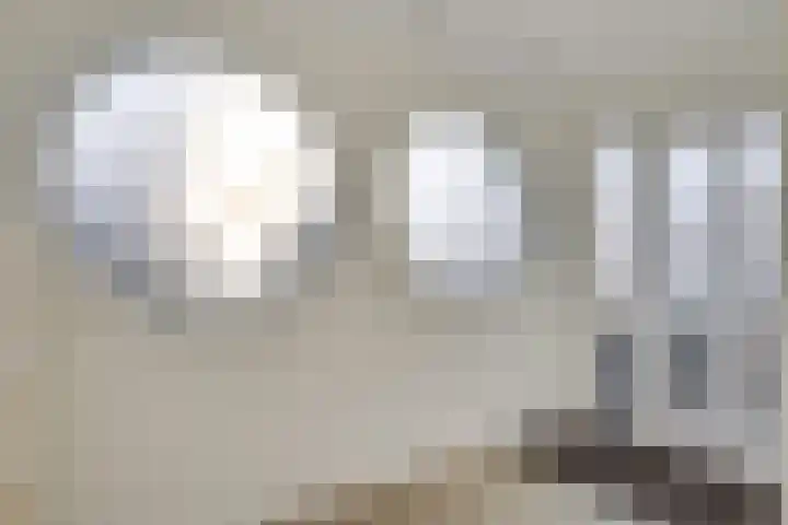 Geldropseweg 71 Heeze thumbnail 10
