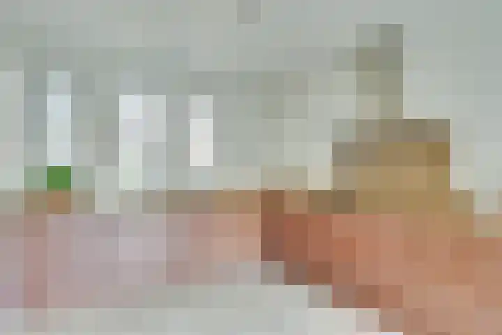 Geldropseweg 71 Heeze thumbnail 17