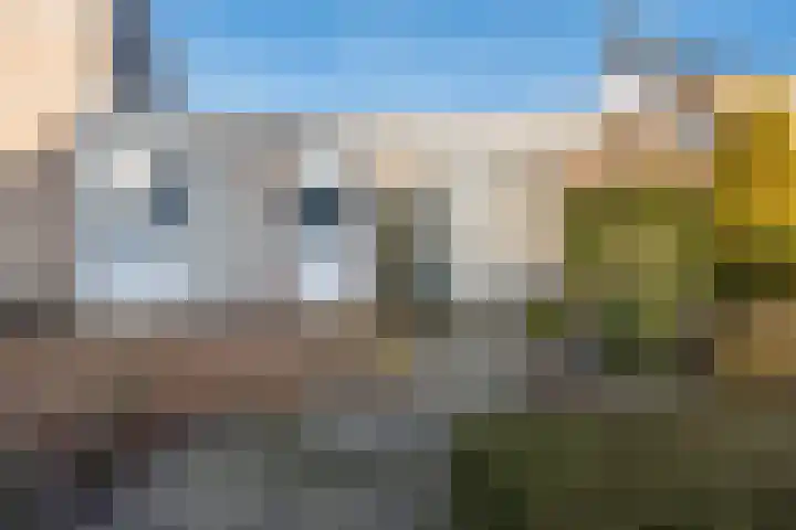 Geldropseweg 71 Heeze thumbnail 31