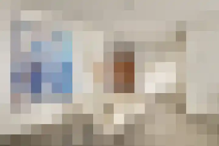 Geldropseweg 71 Heeze thumbnail 39