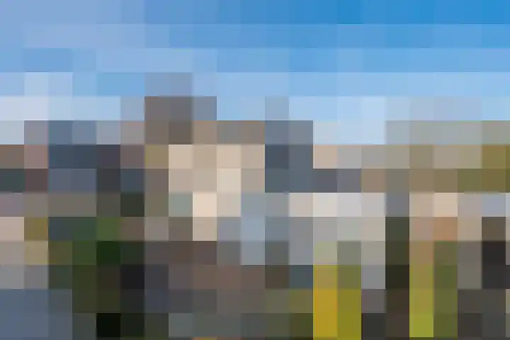 Geldropseweg 71 Heeze thumbnail 5