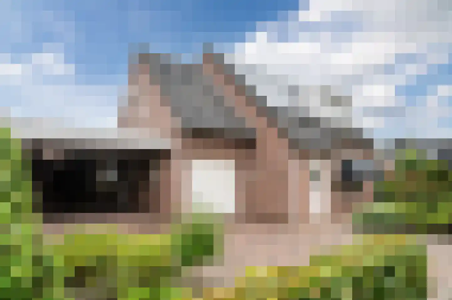 Geldropseweg 87 Heeze thumbnail 14