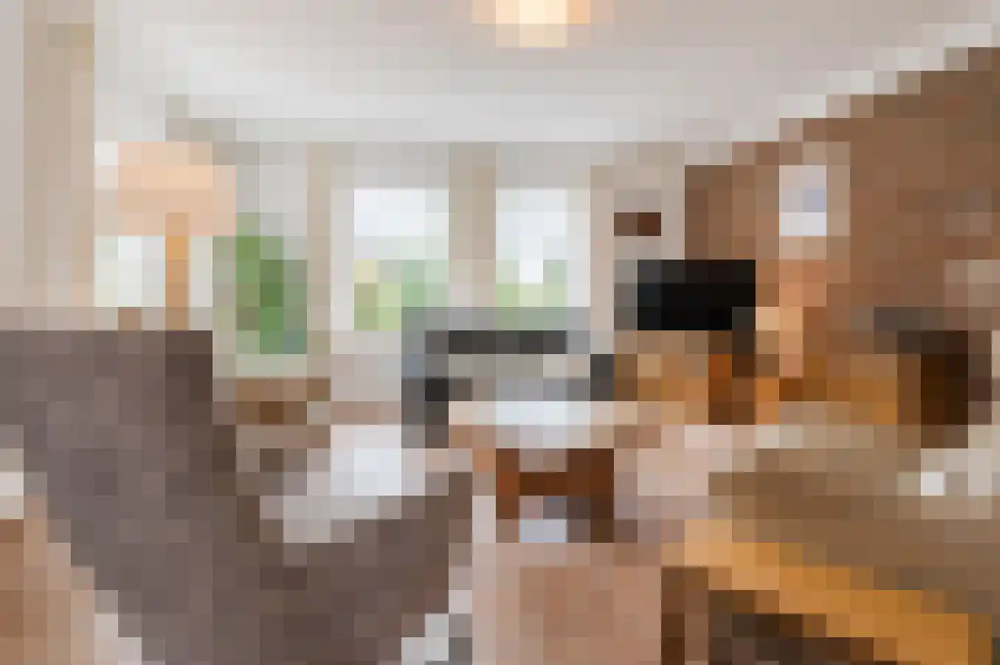 Geldropseweg 87 Heeze thumbnail 17