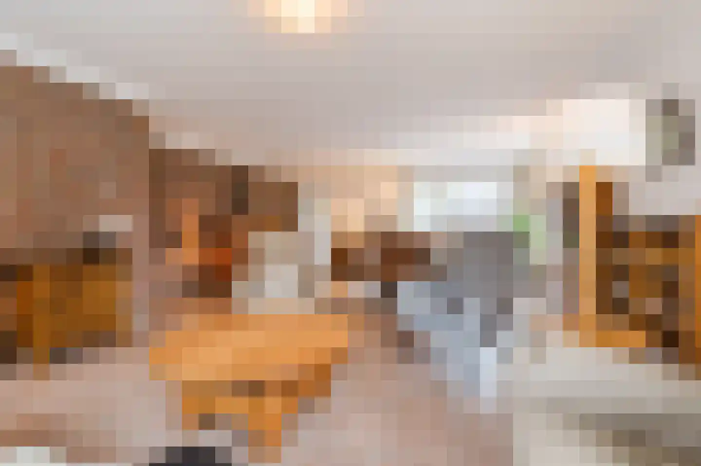 Geldropseweg 87 Heeze thumbnail 5