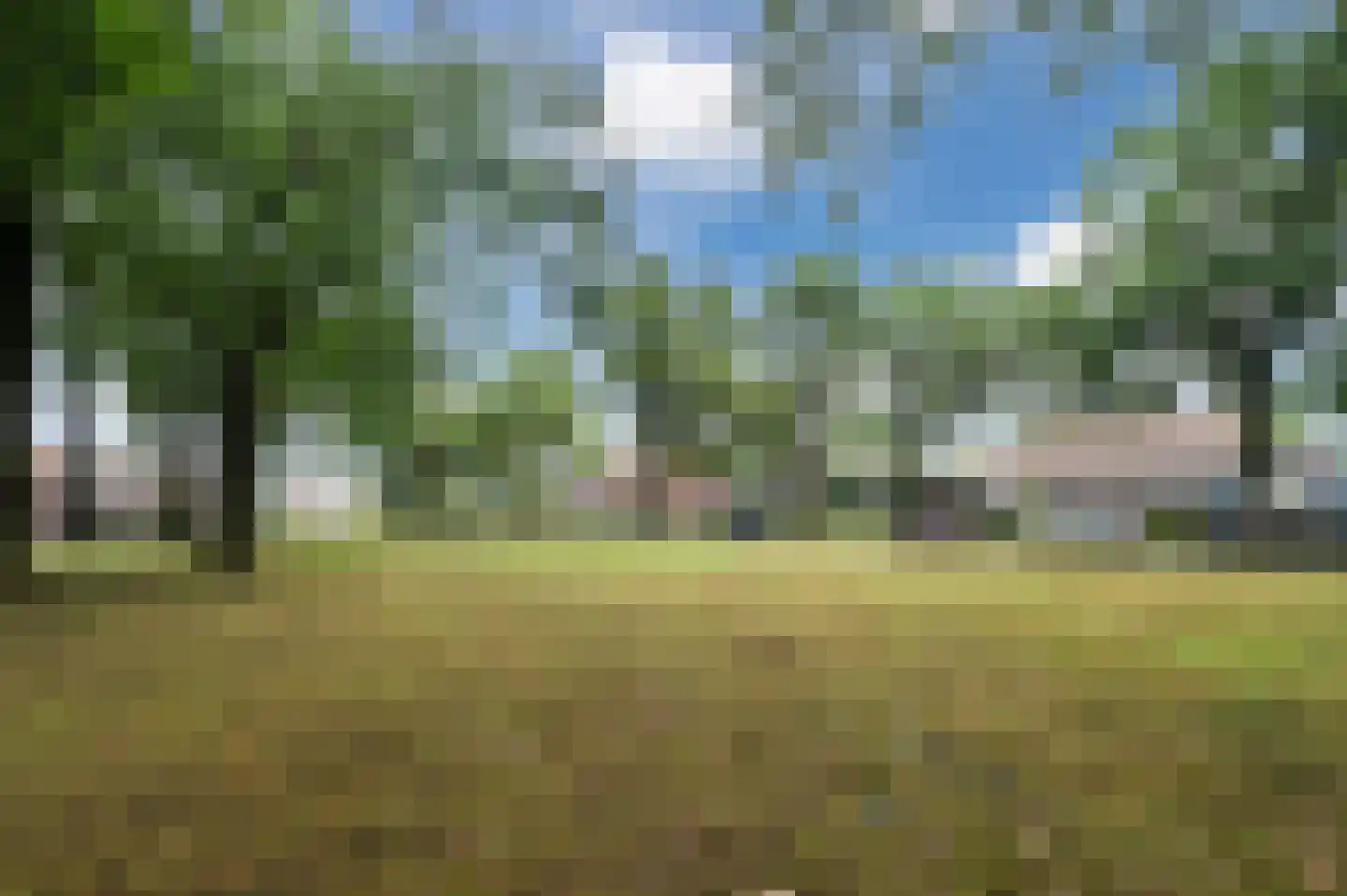 Geldropseweg 87 Heeze thumbnail 50