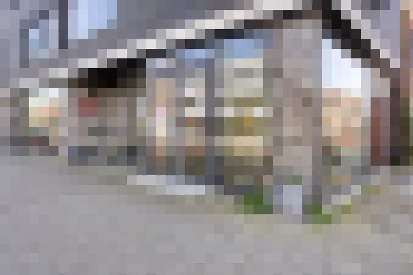 Geldropseweg 90 Eindhoven thumbnail 43