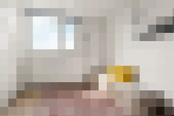 Geldropstraat 26 Arnhem thumbnail 27