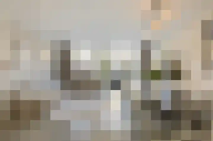 Geldropstraat 88 Arnhem thumbnail 16