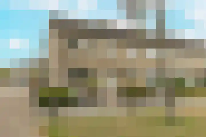 Gele Berk 2 en Zundert