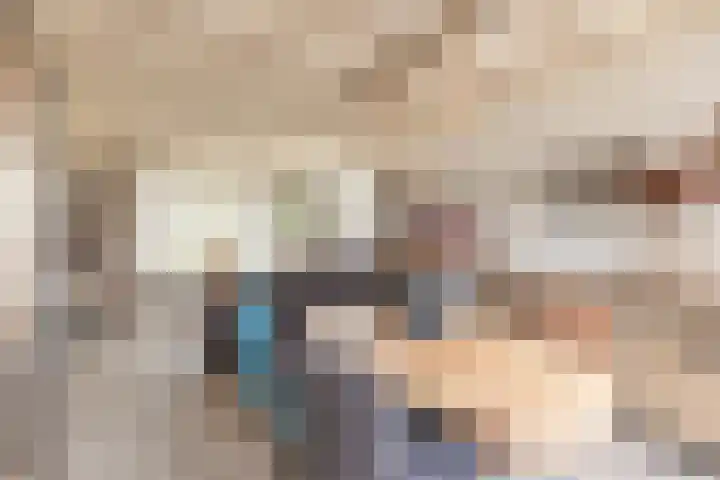 Gele Berk 2 Zundert thumbnail 11
