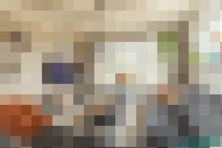 Gele Berk 2 Zundert thumbnail 14