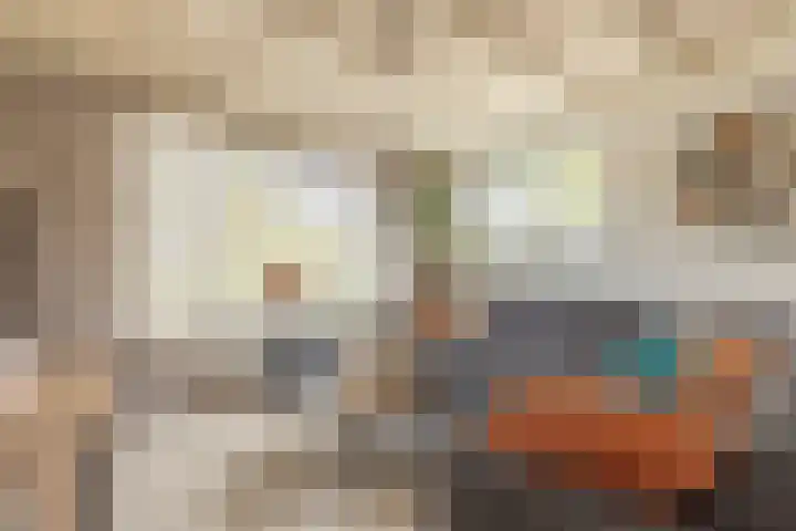 Gele Berk 2 Zundert thumbnail 15