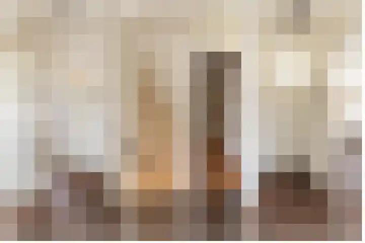 Gele Berk 2 Zundert thumbnail 16
