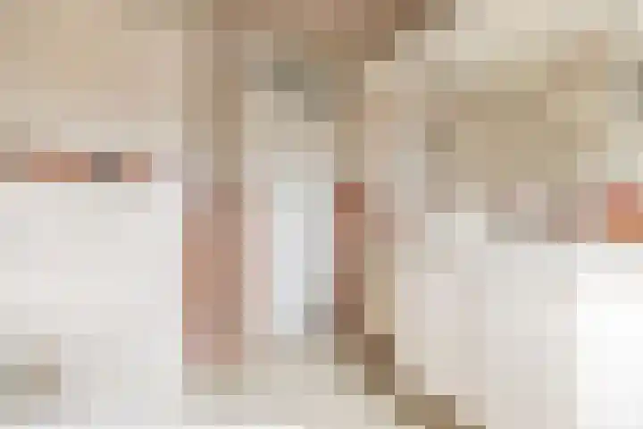 Gele Berk 2 Zundert thumbnail 17