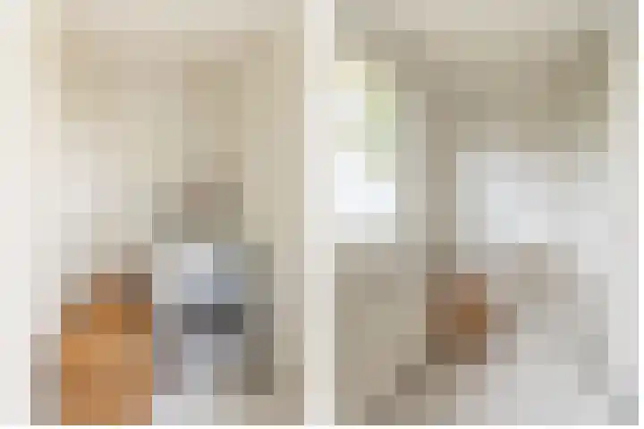 Gele Berk 2 Zundert thumbnail 20