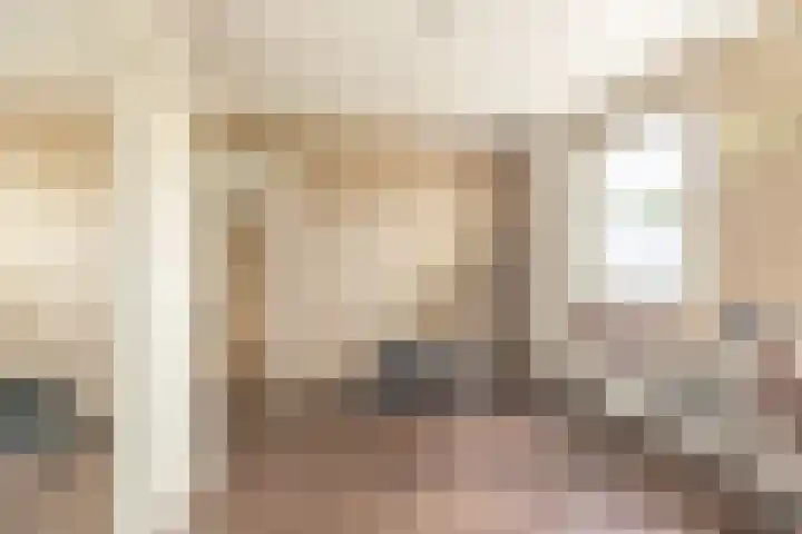 Gele Berk 2 Zundert thumbnail 21