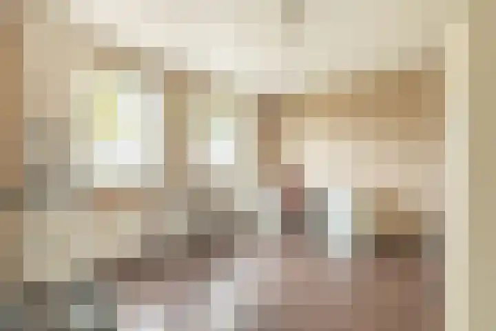 Gele Berk 2 Zundert thumbnail 23