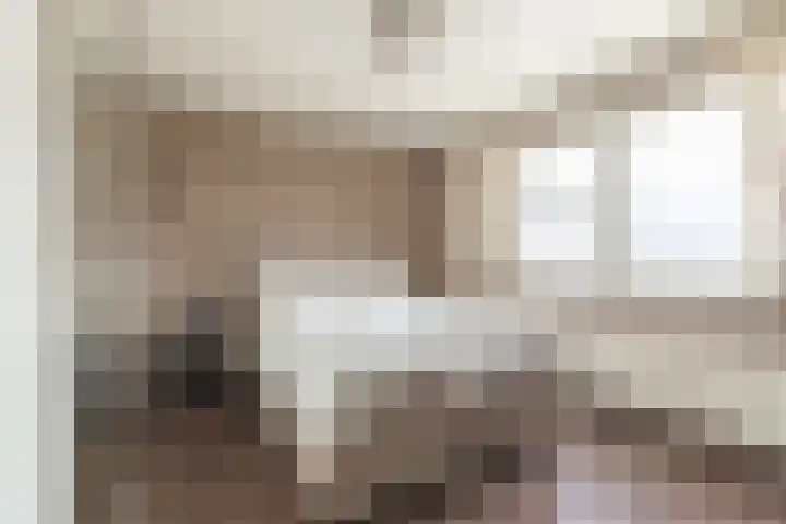Gele Berk 2 Zundert thumbnail 24
