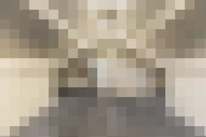 Gele Berk 2 Zundert thumbnail 27