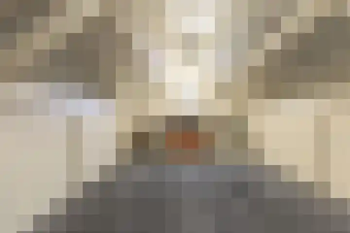 Gele Berk 2 Zundert thumbnail 28