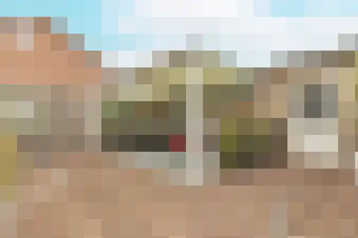 Gele Berk 2 Zundert thumbnail 29