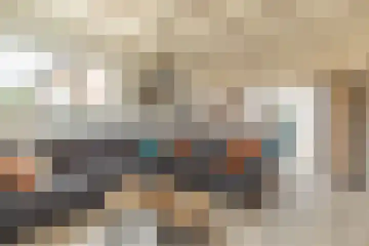 Gele Berk 2 Zundert foto 3