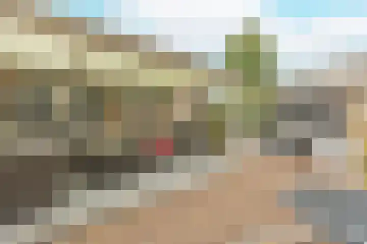 Gele Berk 2 Zundert thumbnail 30