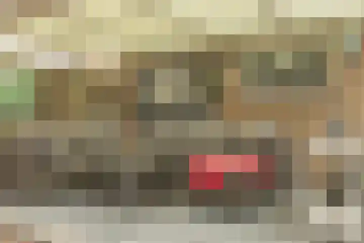 Gele Berk 2 Zundert thumbnail 31