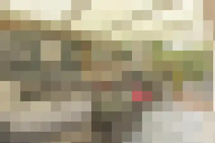 Gele Berk 2 Zundert thumbnail 33
