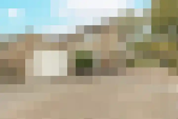 Gele Berk 2 Zundert thumbnail 34