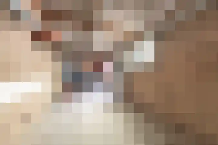Gele Berk 2 Zundert thumbnail 35