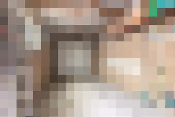 Gele Berk 2 Zundert thumbnail 36