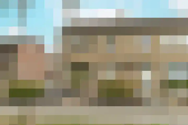 Gele Berk 2 Zundert thumbnail 37