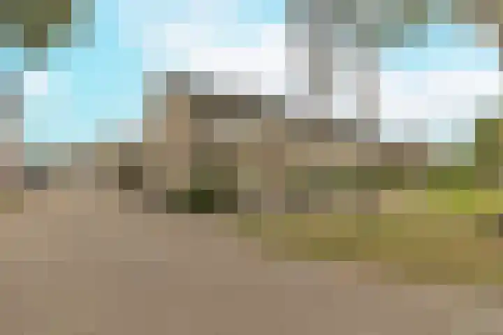 Gele Berk 2 Zundert thumbnail 38