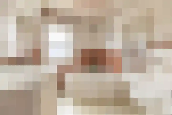 Gele Berk 2 Zundert thumbnail 4