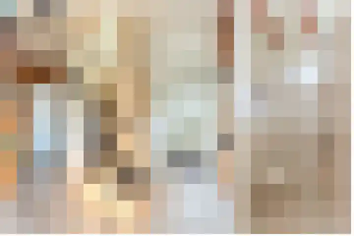 Gele Berk 2 Zundert thumbnail 7