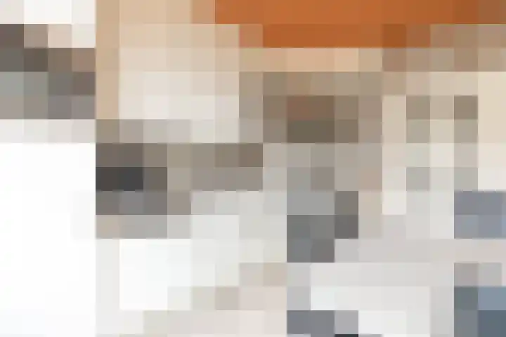 Gele Berk 2 Zundert thumbnail 9