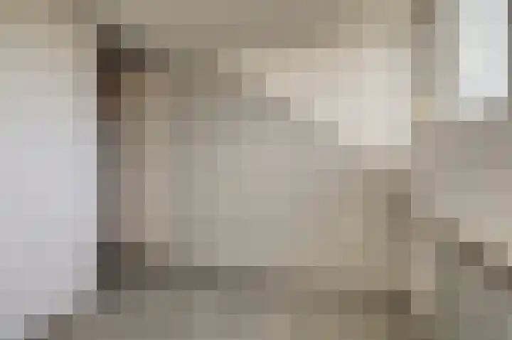 Gele Eker 1 c Wergea thumbnail 19