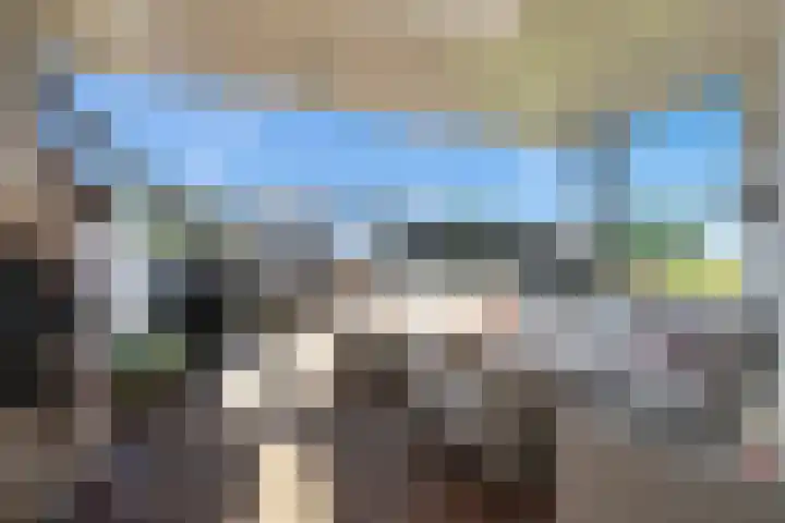 Gele Eker 1 c Wergea thumbnail 22