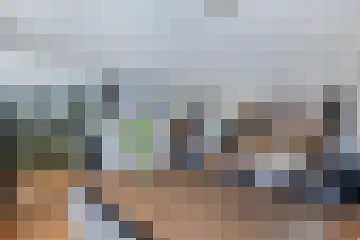 Gele Eker 1 c Wergea thumbnail 25
