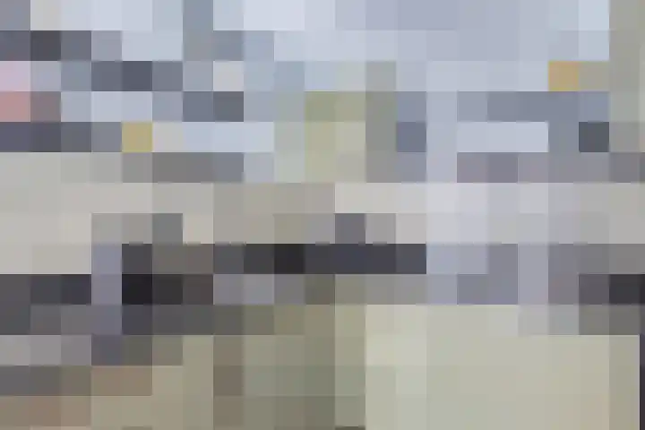 Gele Eker 1 c Wergea thumbnail 27